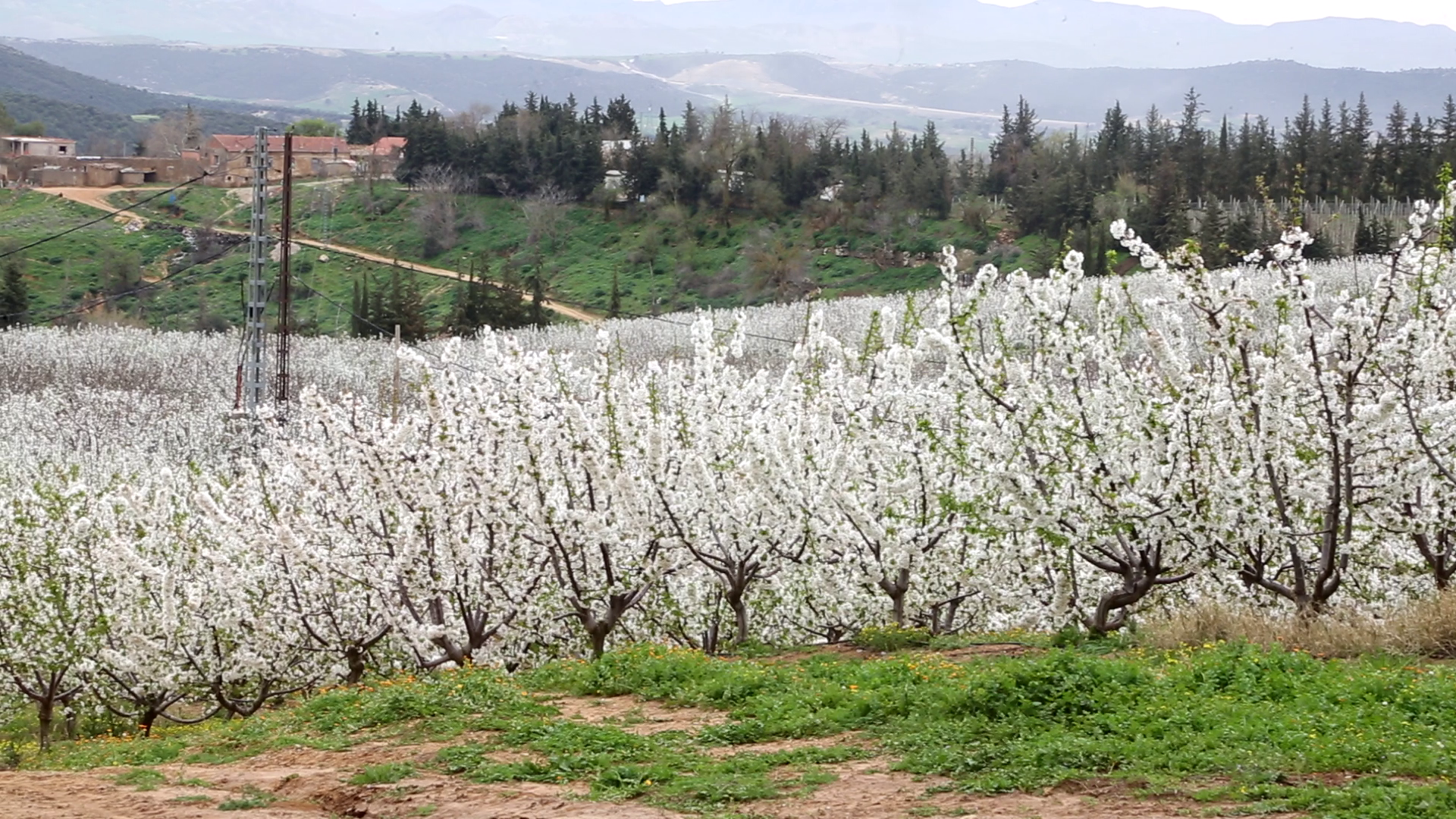 عنوان الصورة 07+